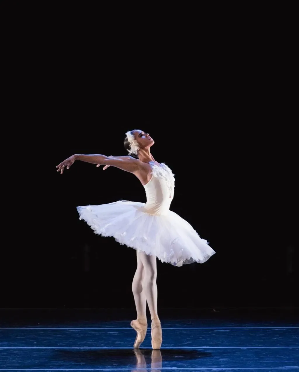 Princess P. reccomend nude ballet dancer studio swan