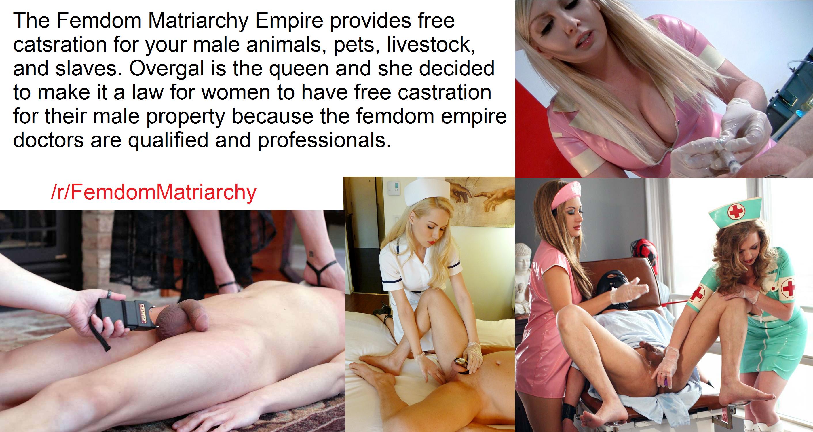 Vivi reccomend male slave castration femdom